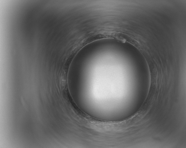 X0000059850040200510281903