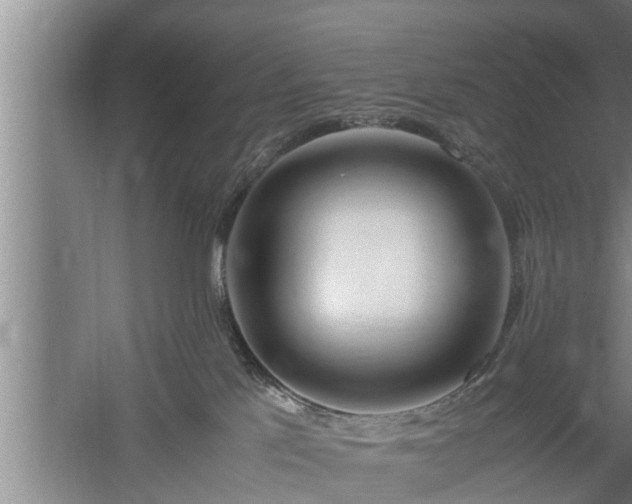 X0000059850041200510281903