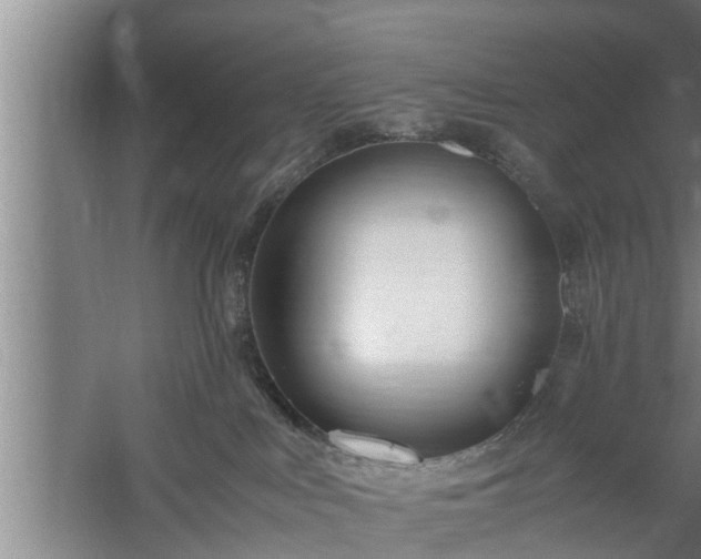 X0000059850043200510281903