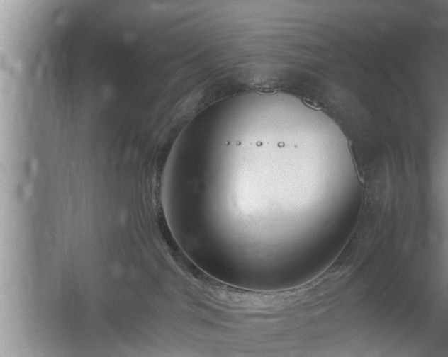 X0000059850044200510281903