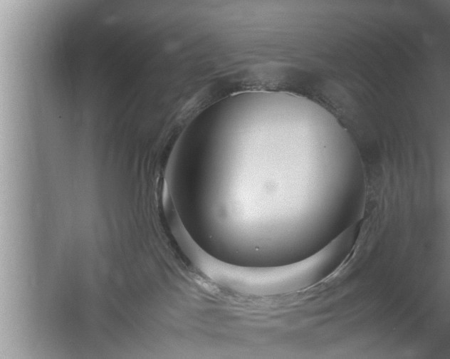 X0000059850045200510281903