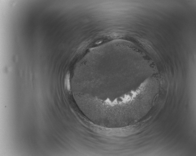 X0000059850046200510281903