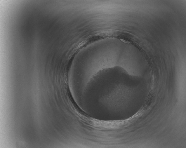 X0000059850048200510281903