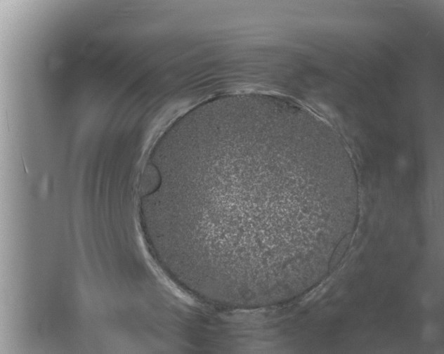 X0000059850049200510281902