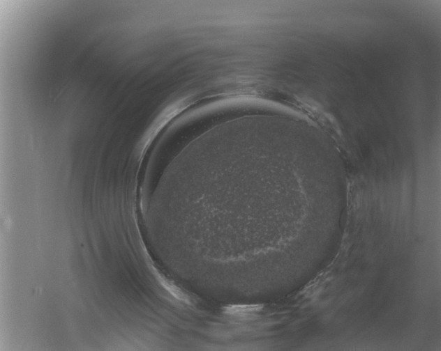 X0000059850051200510281902