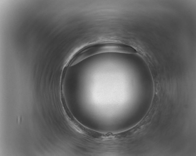 X0000059850052200510281902