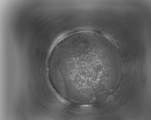 X0000059850053200510281902