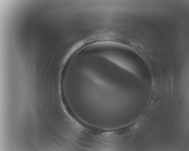 X0000059850054200510281902