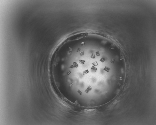 X0000059850055200510281902