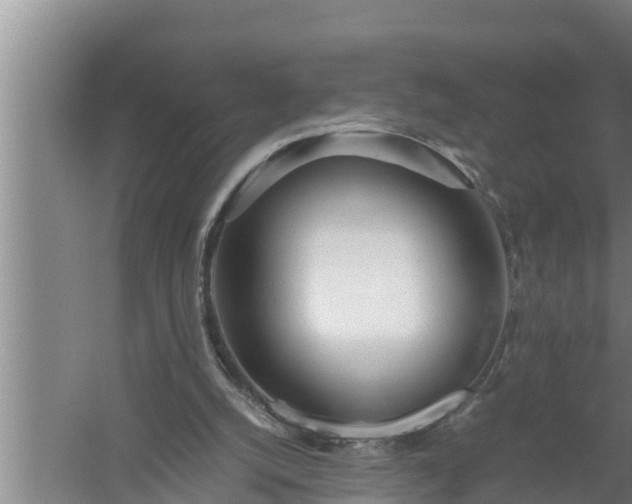 X0000059850056200510281902