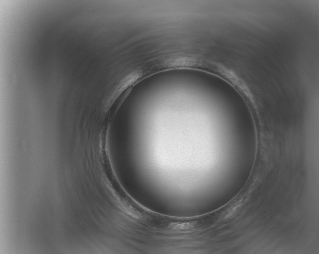 X0000059850057200510281902