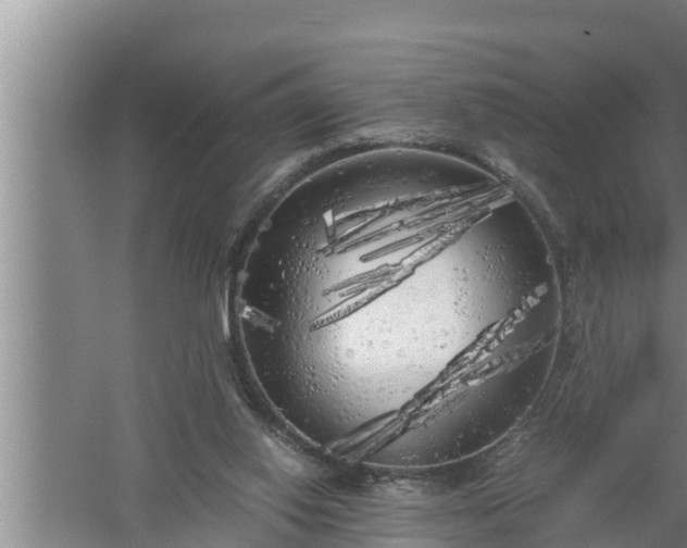 X0000059850062200510281902