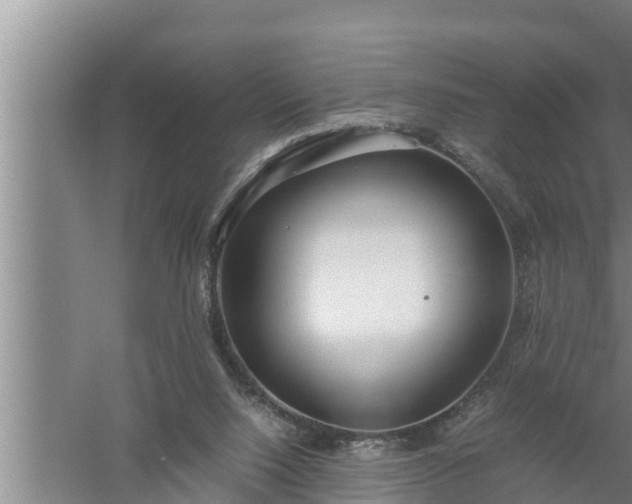 X0000059850064200510281902