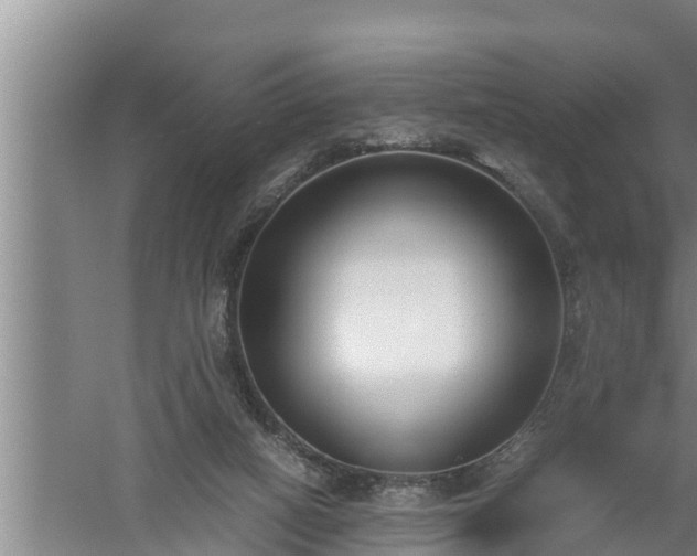 X0000059850066200510281902