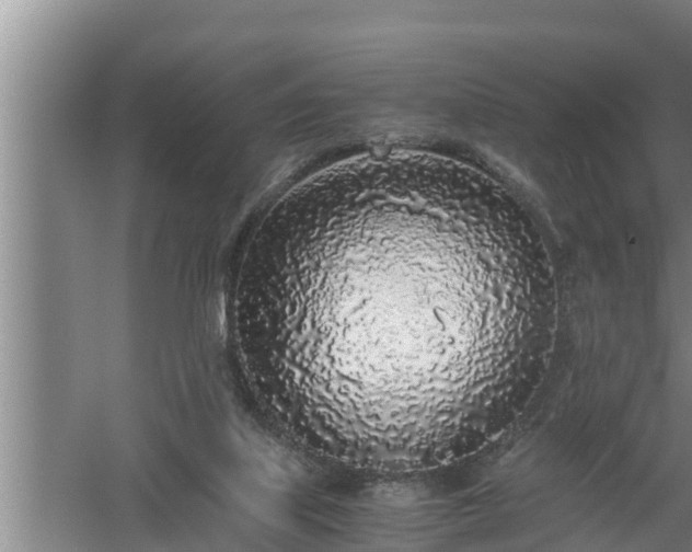 X0000059850067200510281902