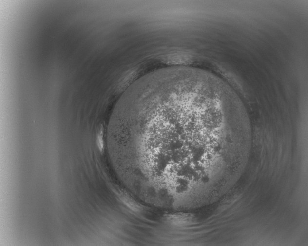 X0000059850069200510281902