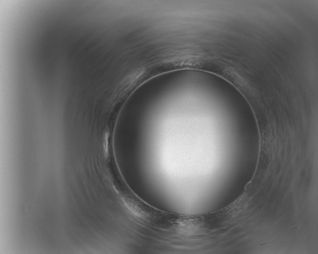 X0000059850070200510281902