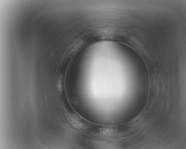 X0000059850074200510281902