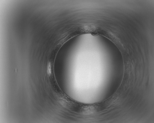 X0000059850075200510281902