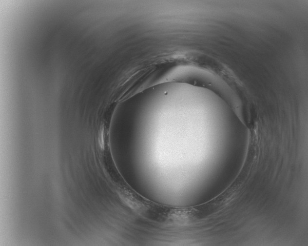 X0000059850076200510281902