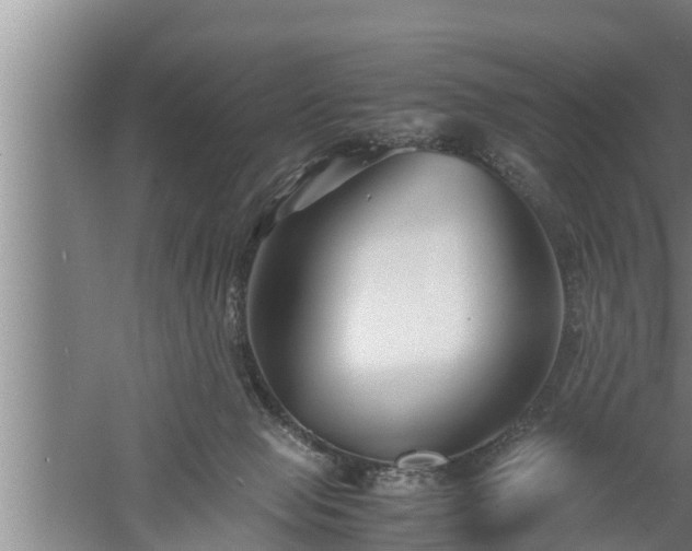 X0000059850077200510281902