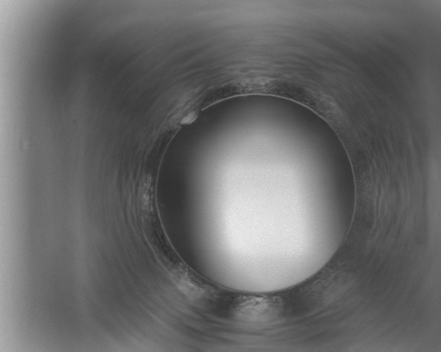 X0000059850083200510281902