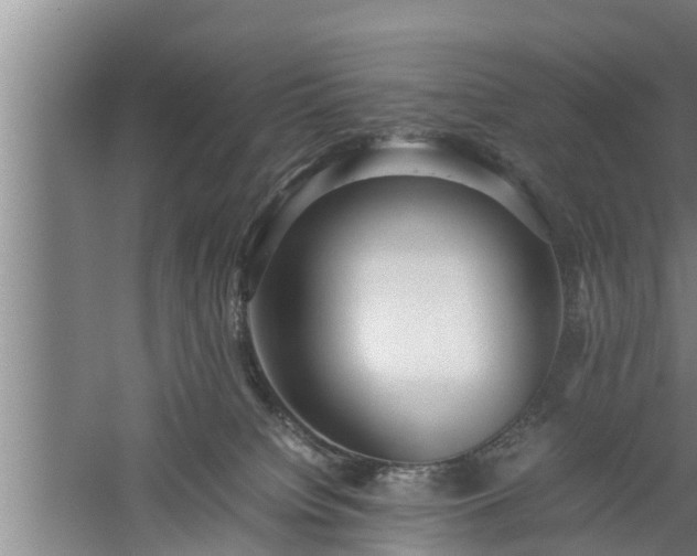 X0000059850084200510281902