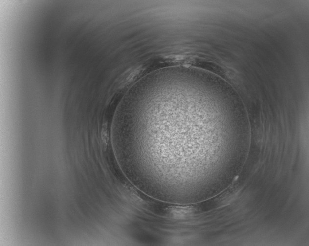 X0000059850085200510281902