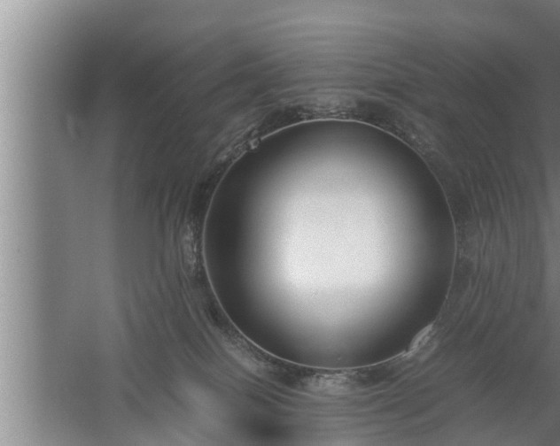 X0000059850086200510281903