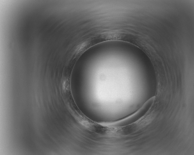 X0000059850096200510281903