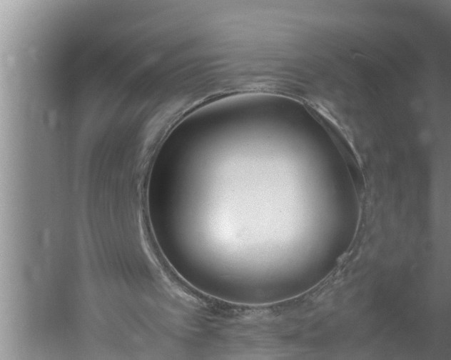 X0000059850097200510281902