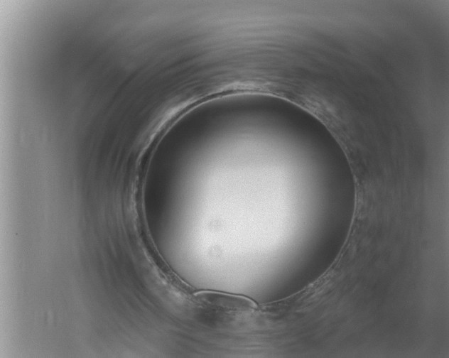 X0000059850098200510281902