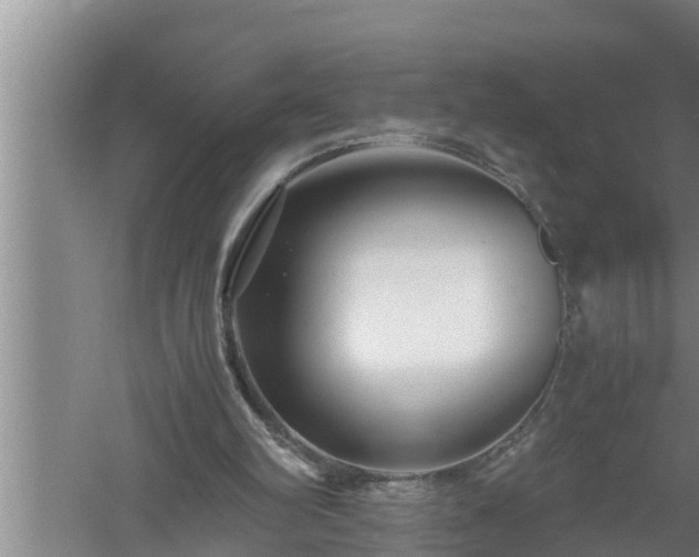 X0000059850102200510281902