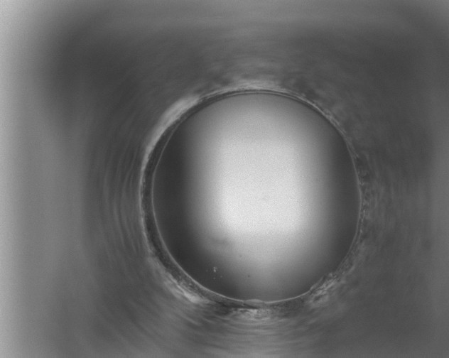 X0000059850104200510281902