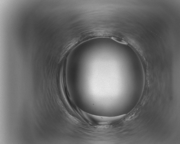 X0000059850105200510281902