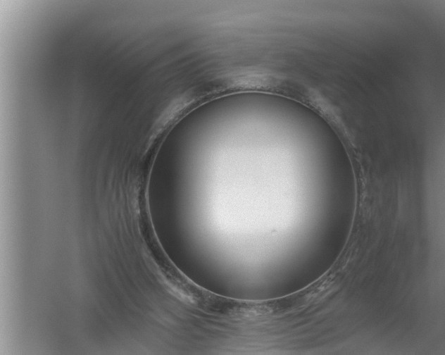 X0000059850106200510281902