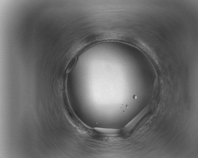 X0000059850107200510281902