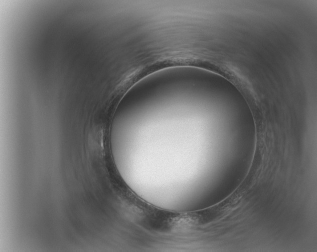 X0000059850115200510281902