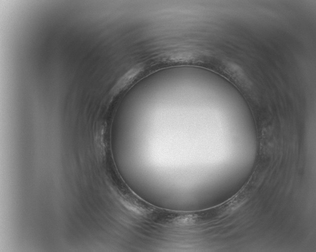 X0000059850116200510281902