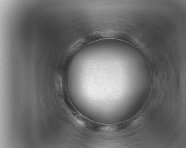 X0000059850117200510281902