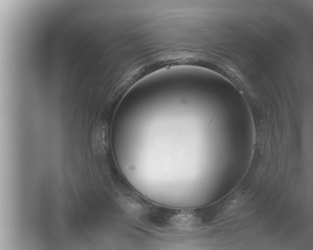 X0000059850119200510281901