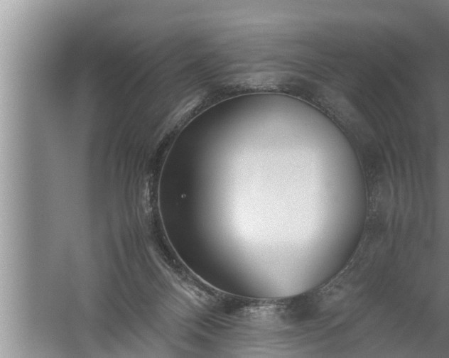 X0000059850120200510281901