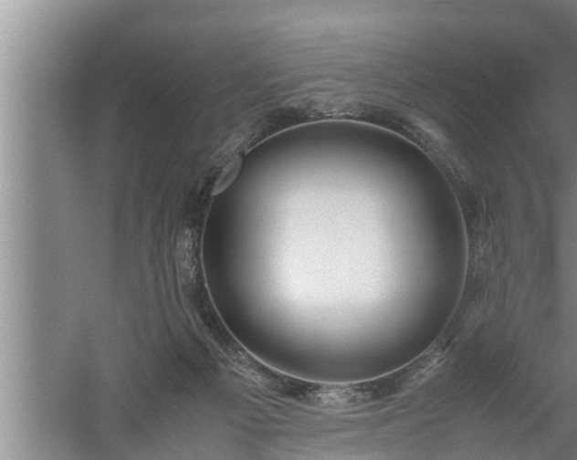 X0000059850121200510281901