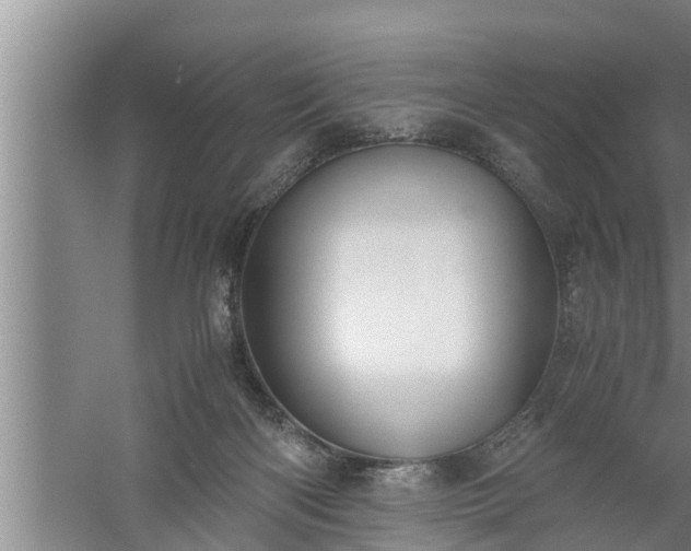 X0000059850122200510281901