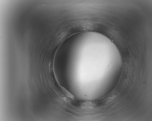 X0000059850123200510281901