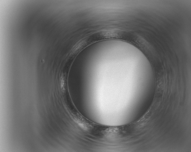 X0000059850124200510281901