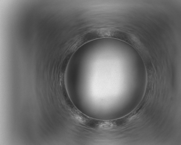 X0000059850125200510281901