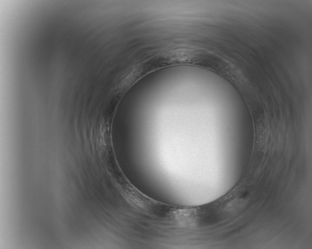 X0000059850126200510281901