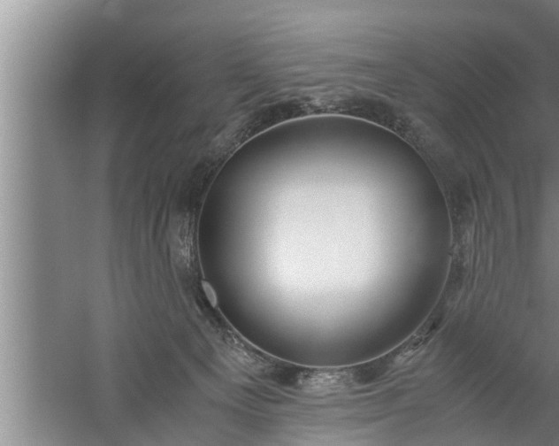 X0000059850129200510281901