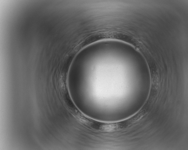 X0000059850131200510281901